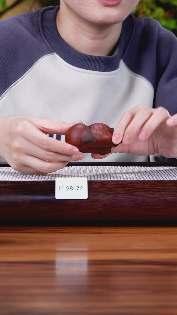 茶壶紫砂11.28-72 乌龟