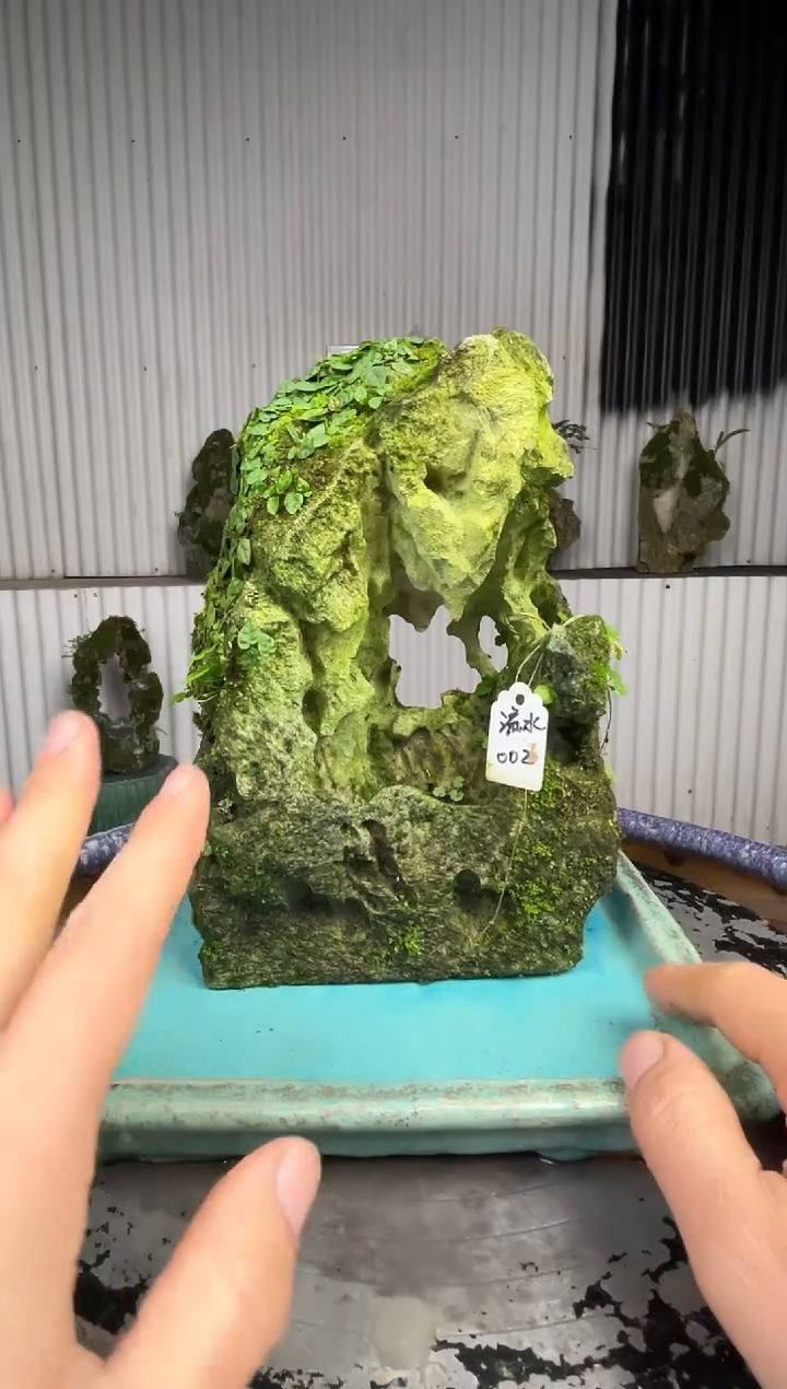 吴定石一物一拍专属