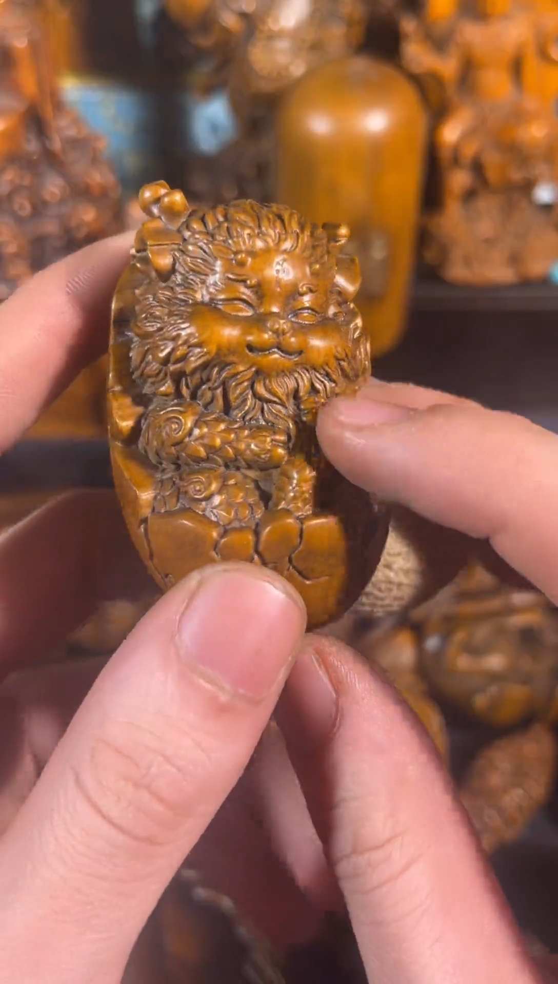 黄杨木11111111111111