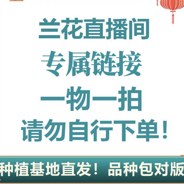 兰花直播间2号（一物一拍请勿自行下单）生鲜
