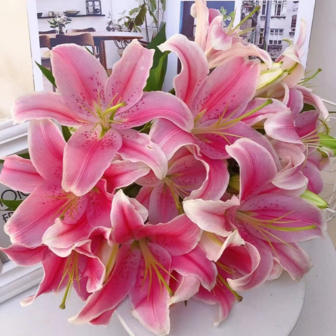 【粉百合】任意拍两单升级顺丰三单送配草 云南鲜花基地直发