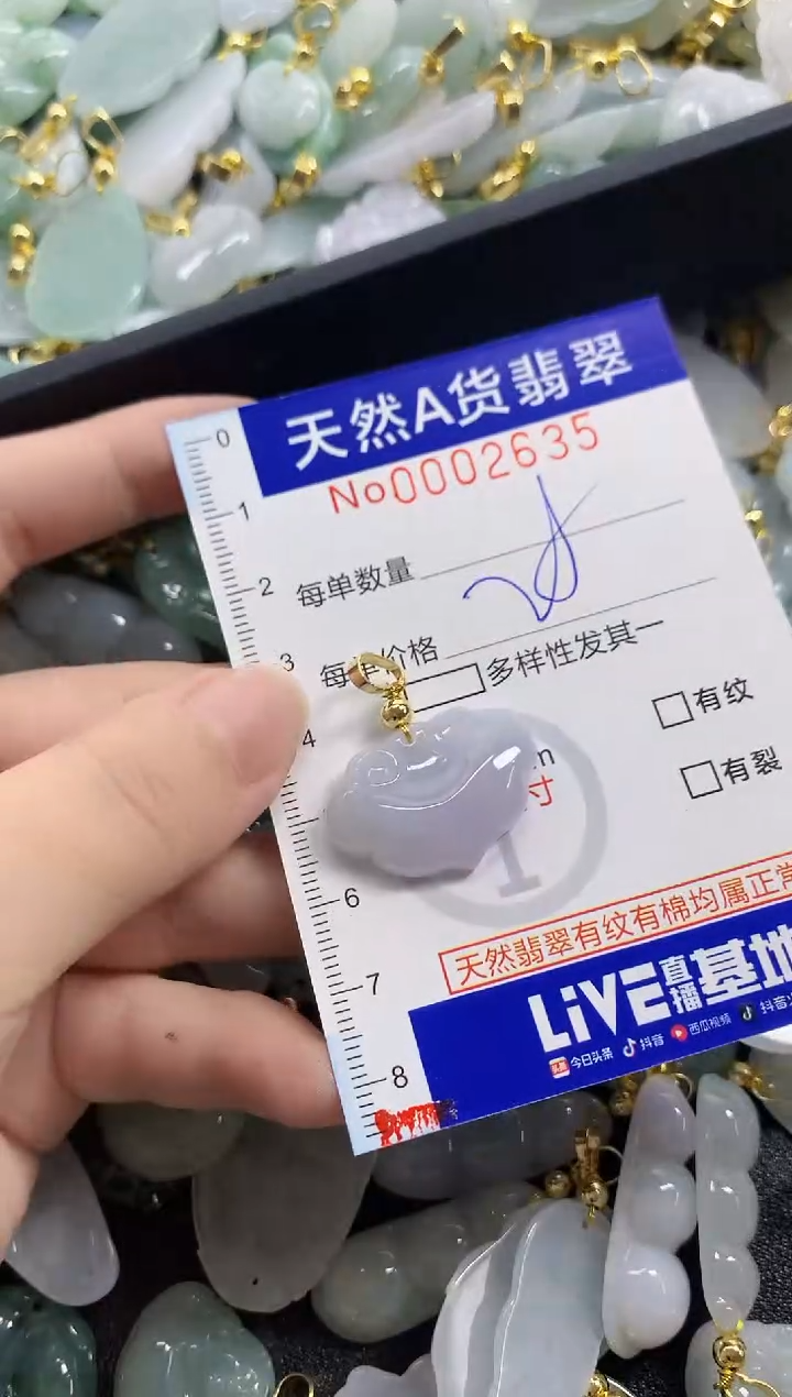 颈饰未镶嵌翡翠天然A货翡翠