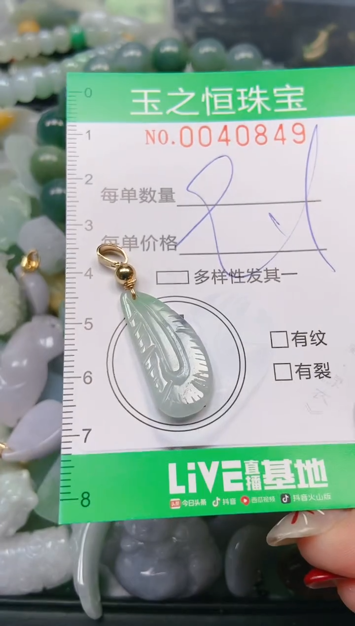 【闪购商品】翡翠颈饰未镶嵌闪购0040849