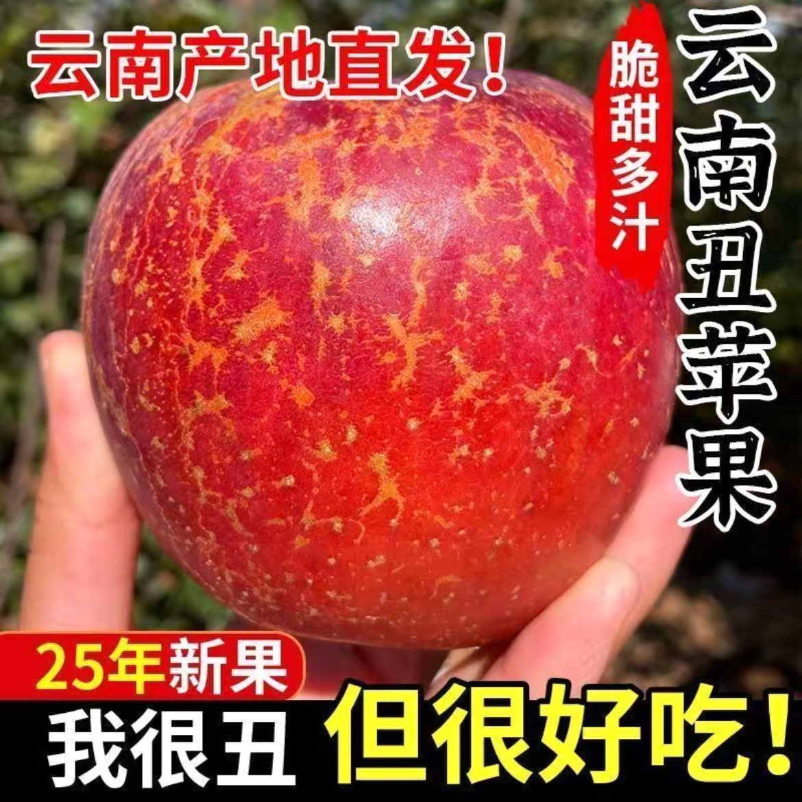 云南高原丑苹果红将军酸甜脆甜新鲜现摘水果好吃多汁包邮