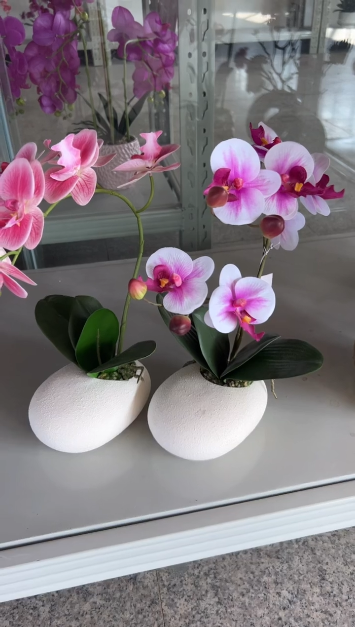 【闪购商品】仿真花朵1盆栽