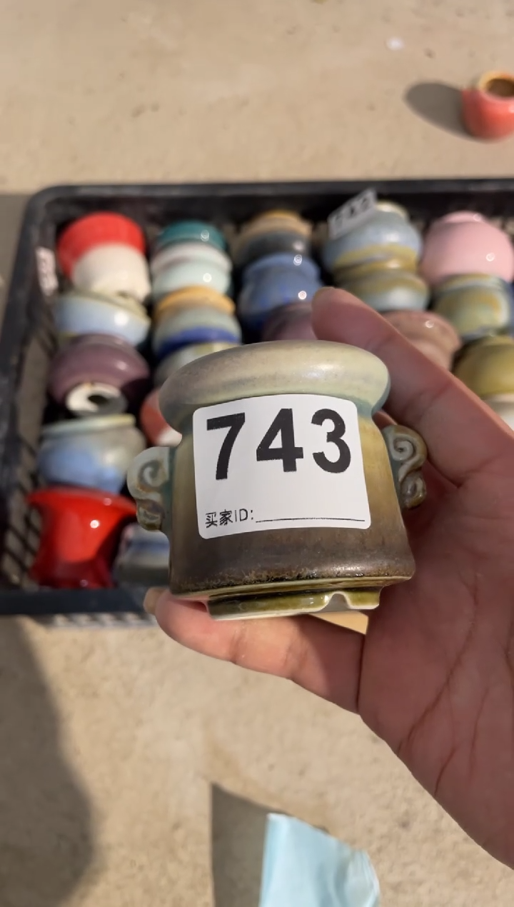 【闪购商品】摆件743福利微瑕知木小芳花盆