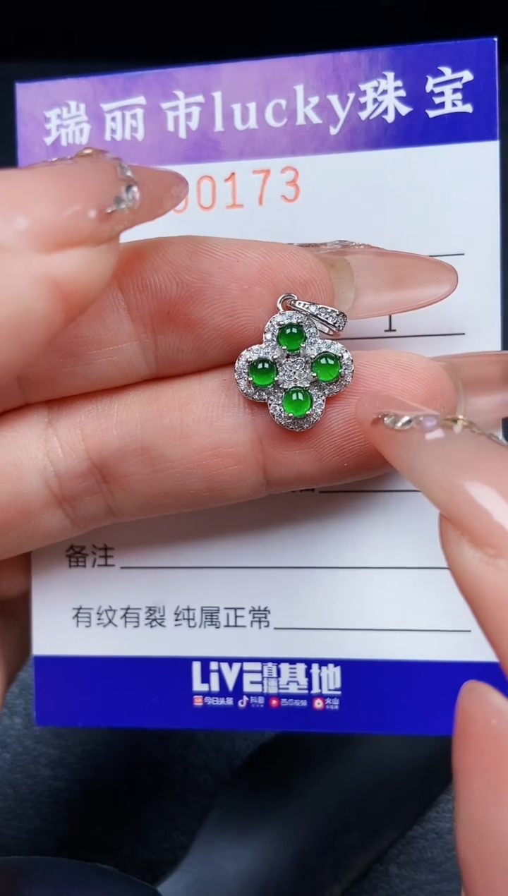 翡翠银S925镶嵌颈饰0173
