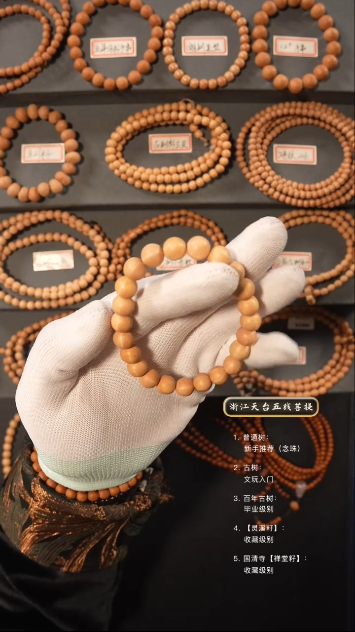 【闪购商品】五线菩提吊坠原皮手串