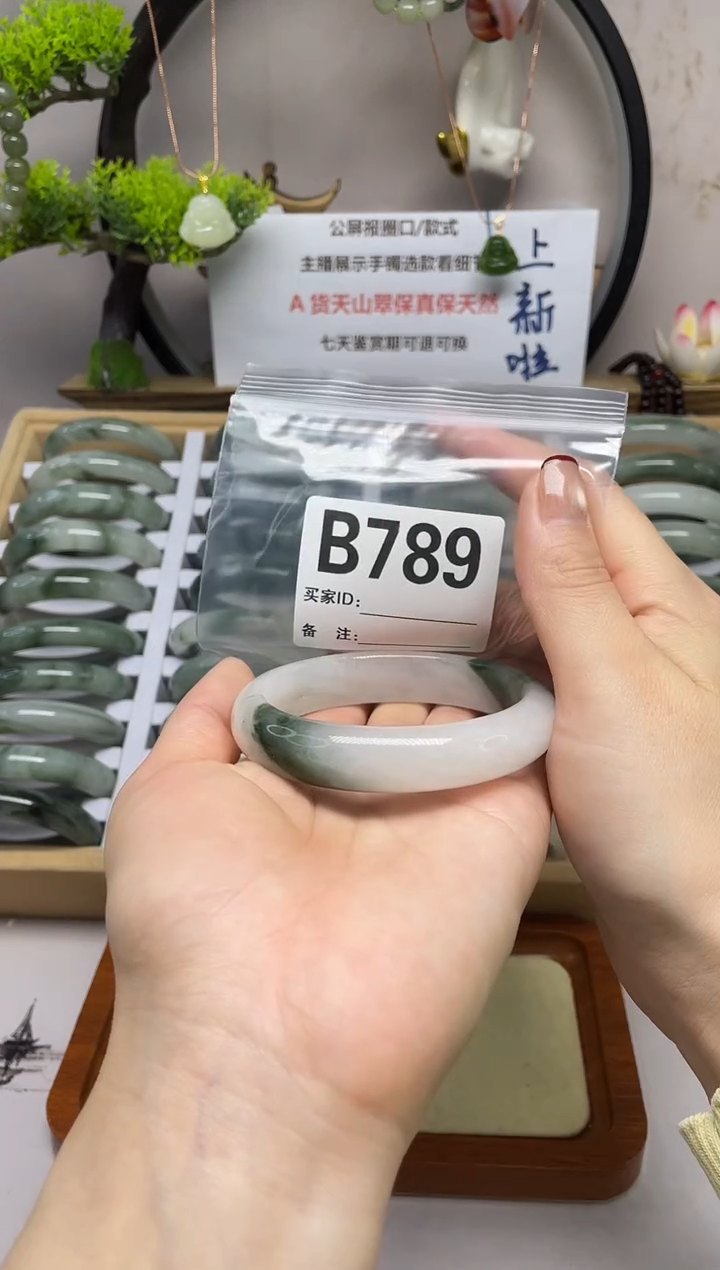 【闪购商品】石英质玉（天山翠）手镯未镶嵌b789