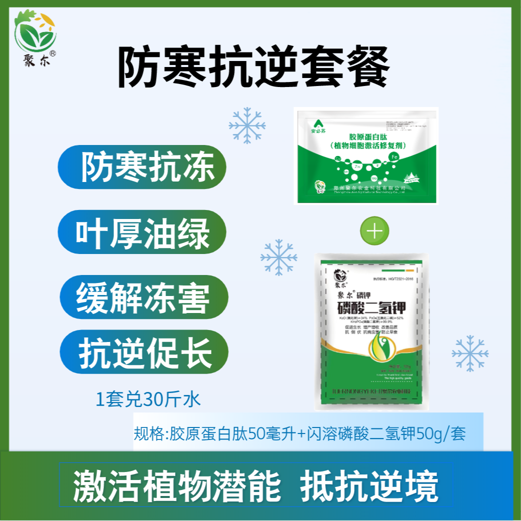 植物防寒抗逆套餐防寒抗冻叶厚油绿缓解冻害抗逆促长