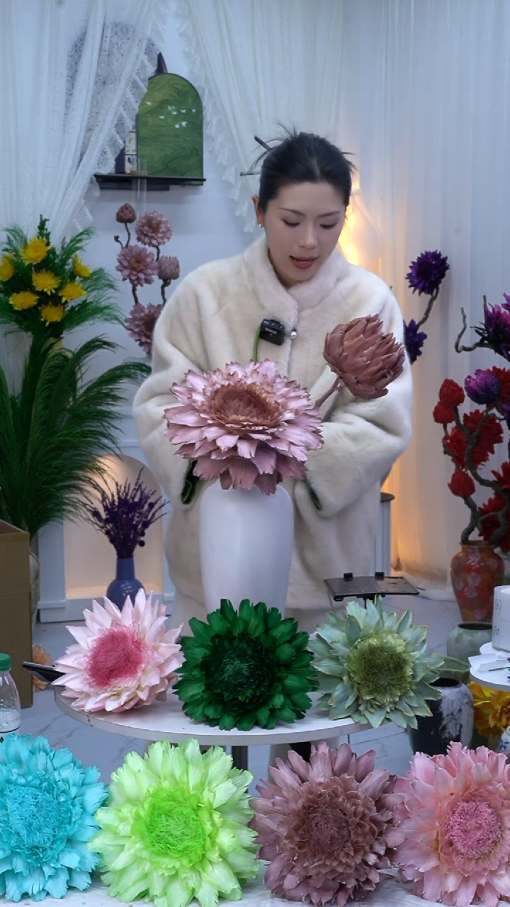 冰*檬永生洋蓟卡粉2头【叶片有伤】8744