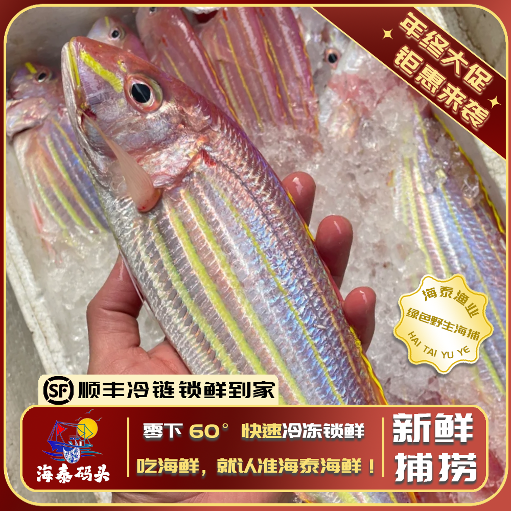 【阿曼专属】【红杉鱼】野生鱼鲜活速冻 深海捕捞锁鲜冷链发货