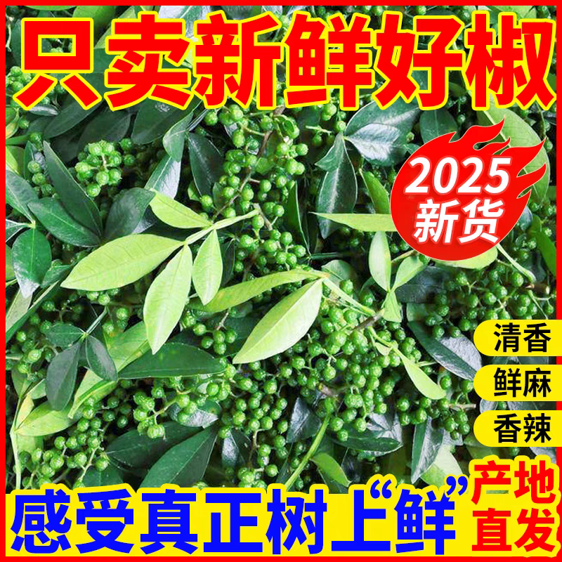 【鲜花椒】四川特产香料 农家青花椒 九叶青麻椒  藤椒