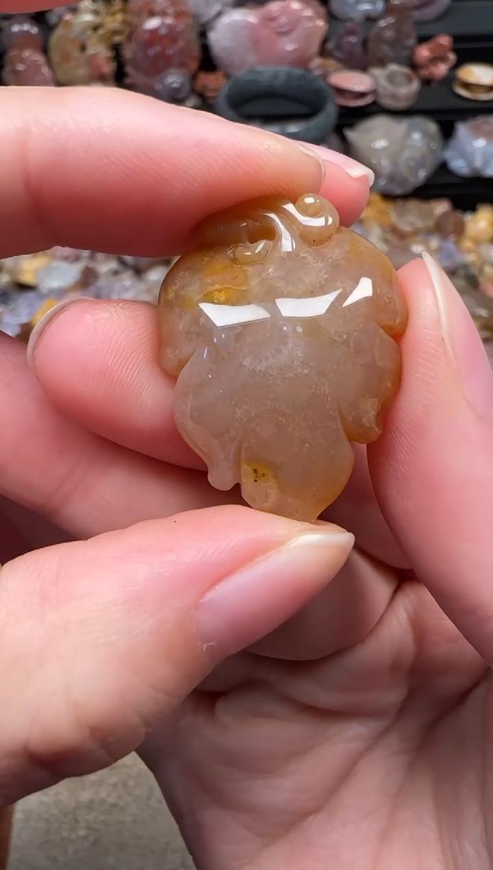 颈饰未镶嵌硅化珊瑚（珊瑚玉）275