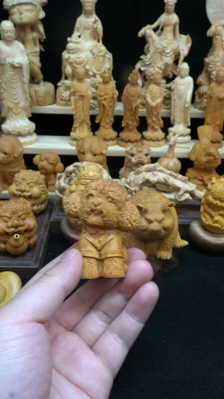 黄杨木小叶黄杨微瑕泰迪