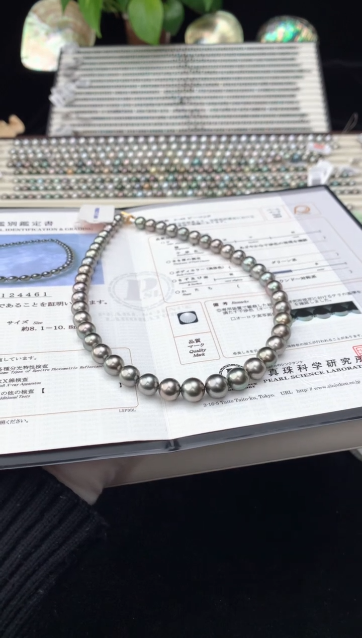 【闪购商品】海水珍珠颈饰银S925镶嵌海水大溪地珍珠项链8-10.8mm