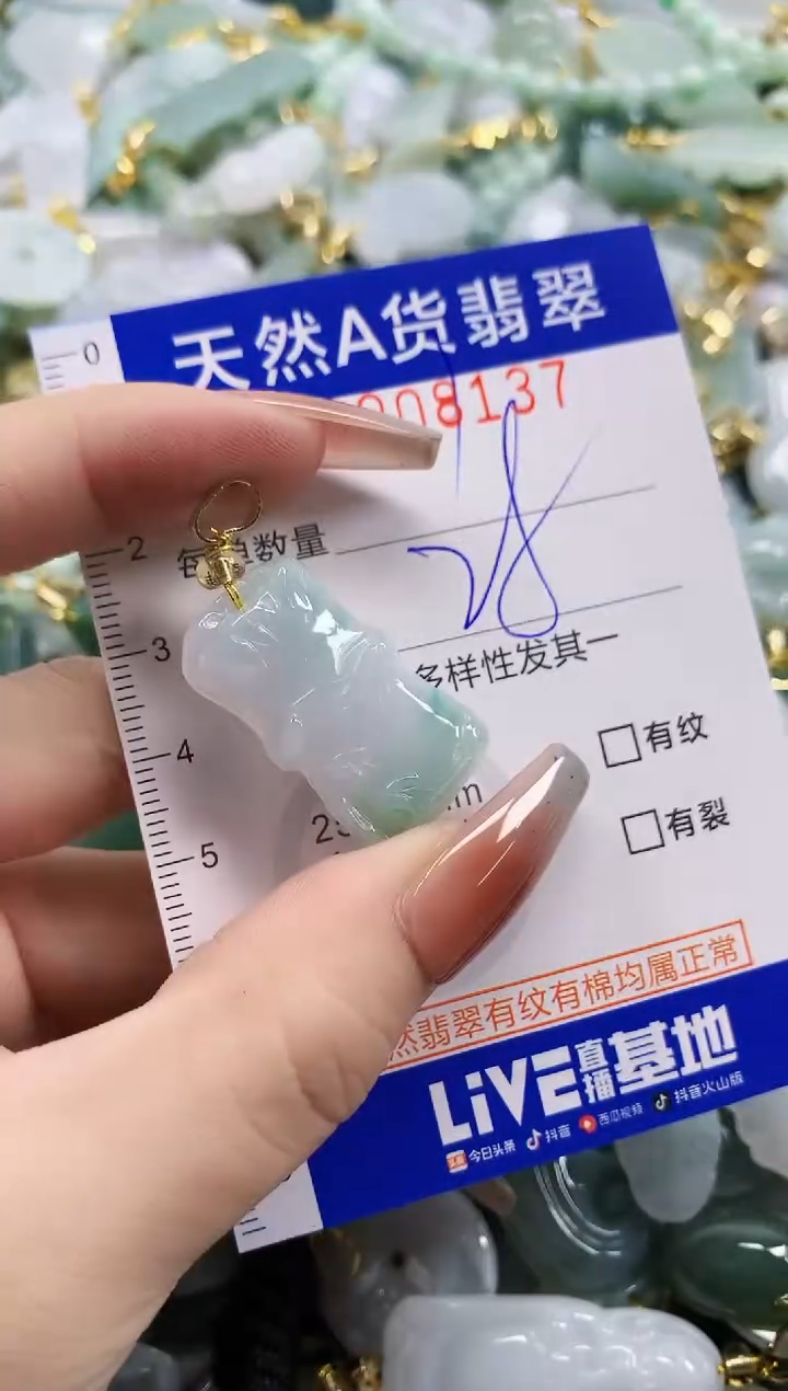 颈饰未镶嵌翡翠天然A货翡翠