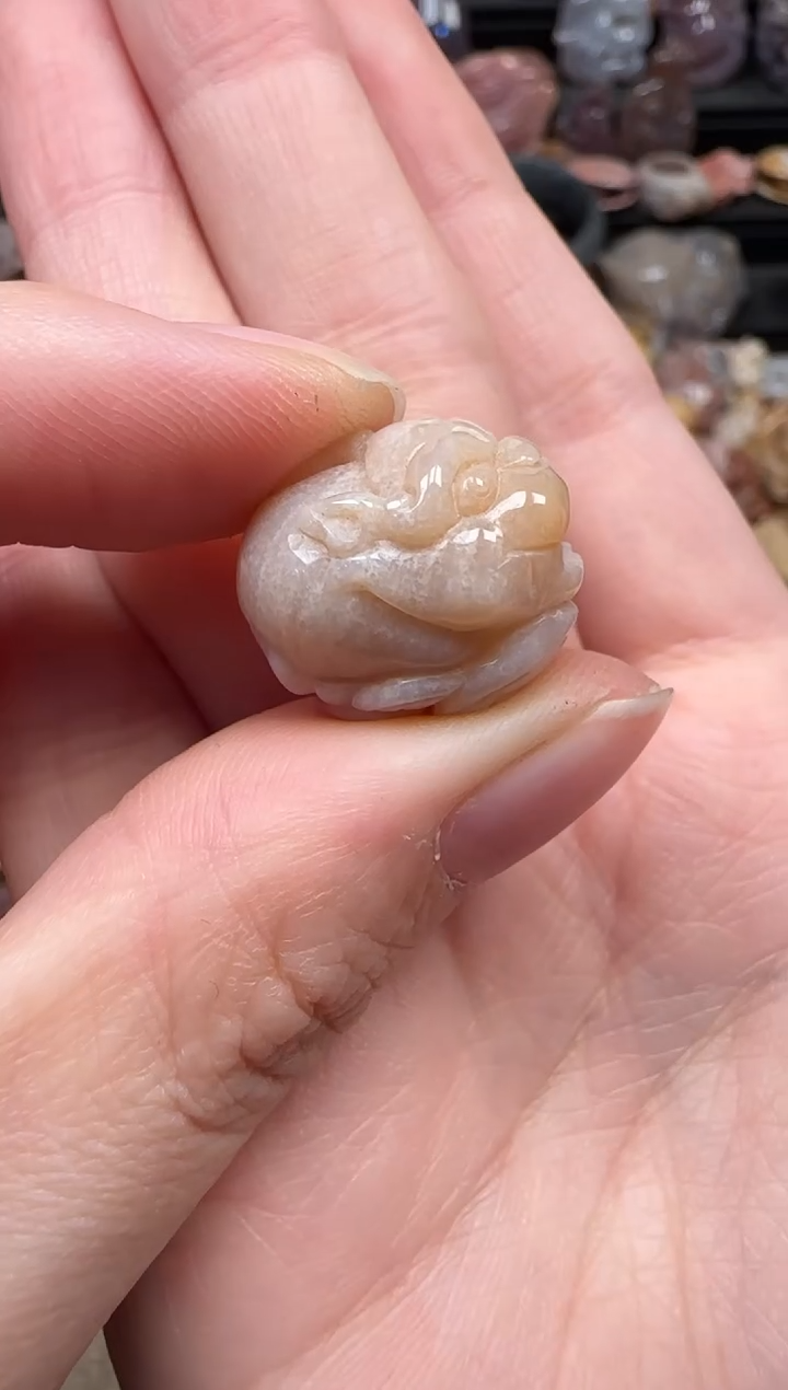 颈饰未镶嵌硅化珊瑚（珊瑚玉）742