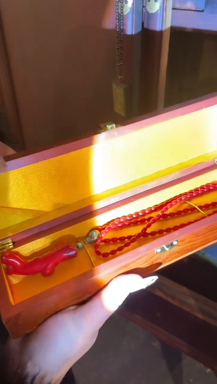 【闪购商品】一一一一一一一山树枝