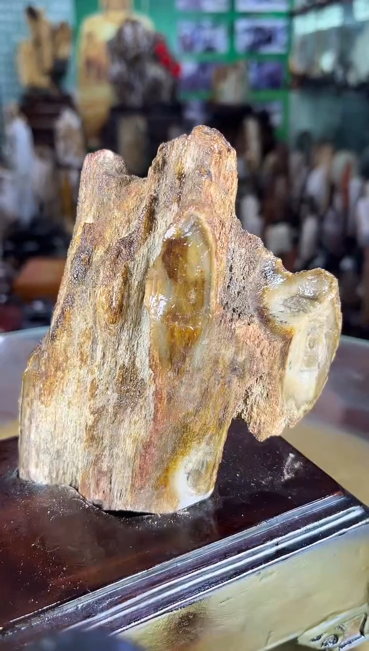 缅甸天然树化玉摆件