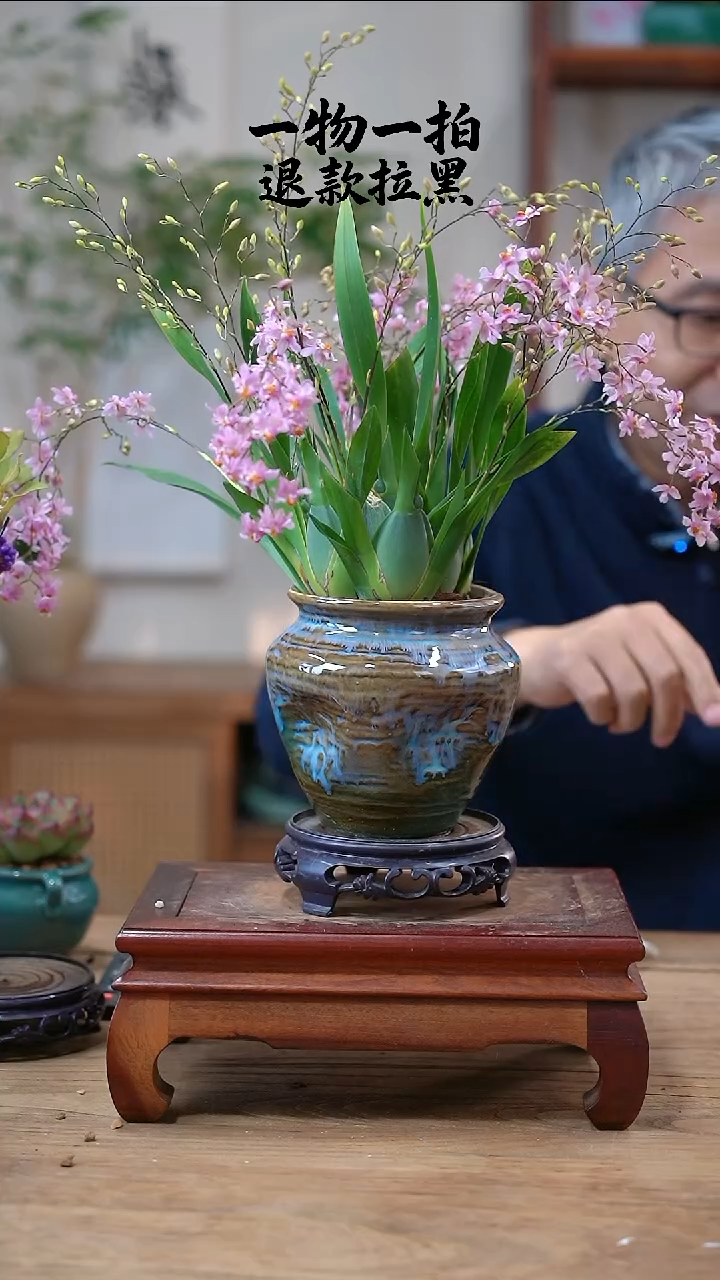 完全开放小*呵文心兰319