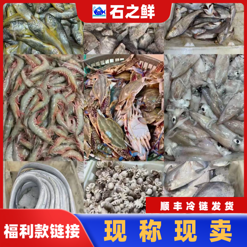 【海鲜礼盒】石浦海鲜 福利（1）现称改价500g起