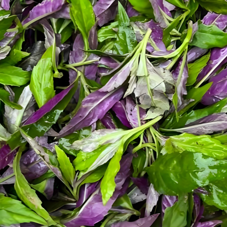 指鲜送 •新鲜野菜组合 300g（紫背天葵、富贵菜、菜心）