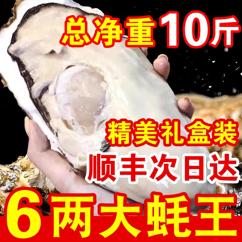 【买5斤送5斤】正宗山东超大生蚝海鲜水产海蛎子新鲜牡蛎冷水蚝