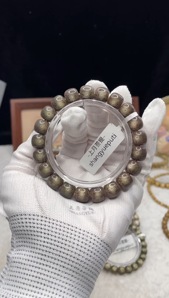 手串星月菩提E27 11X10单圈 F04