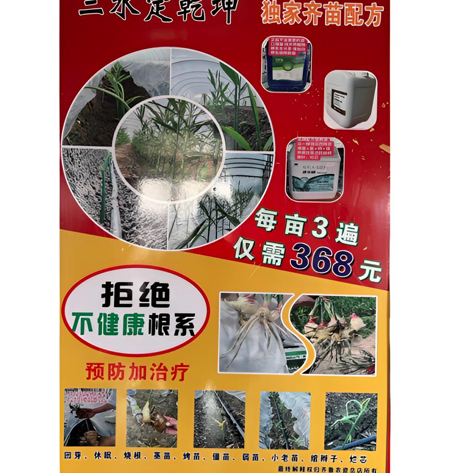 三水定乾坤独家齐苗配方水溶肥368一亩地 