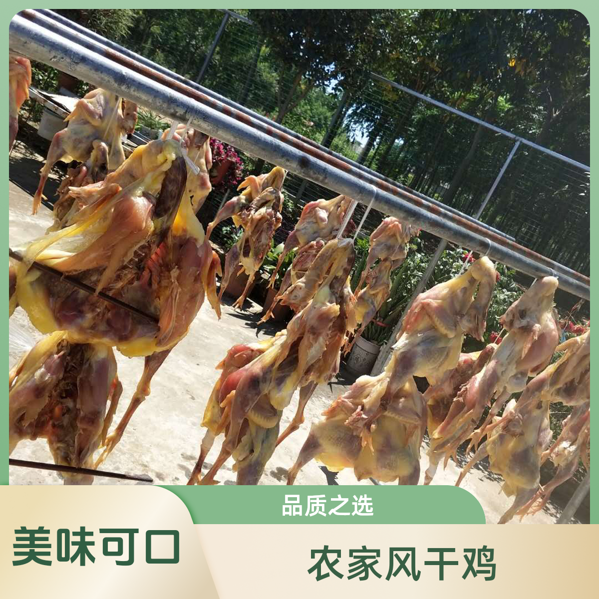 【自家农场顺丰包邮】咸香风干鸡腊味土老鸡腊香年货美食