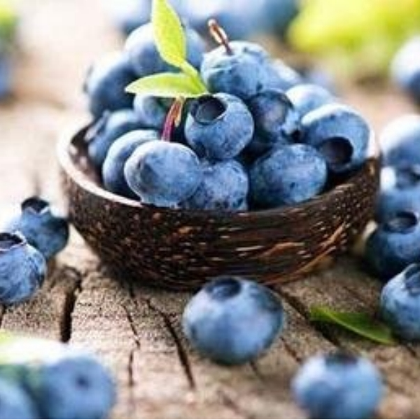 蓝莓 纯甜 多汁 应季水果云南高山花香蓝莓 18mm-22mm 125g*4盒 共一斤