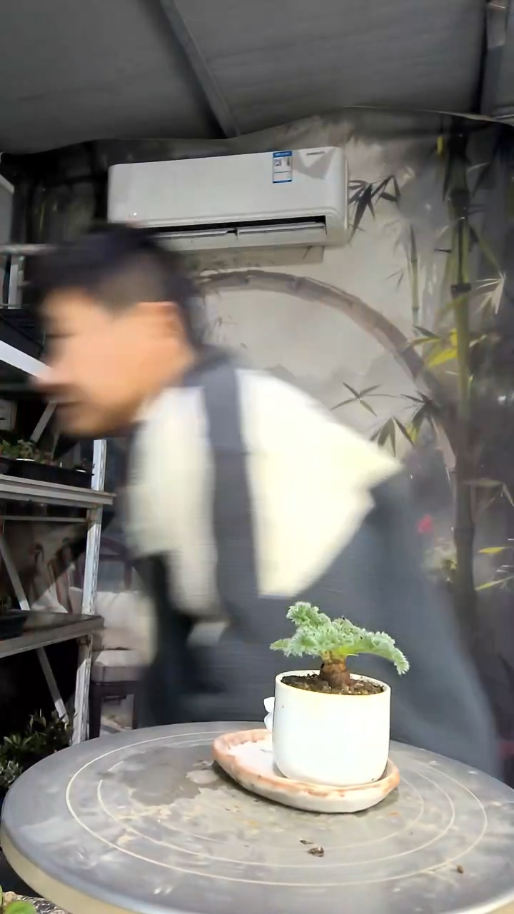 知**乐中青园艺一物一拍花102