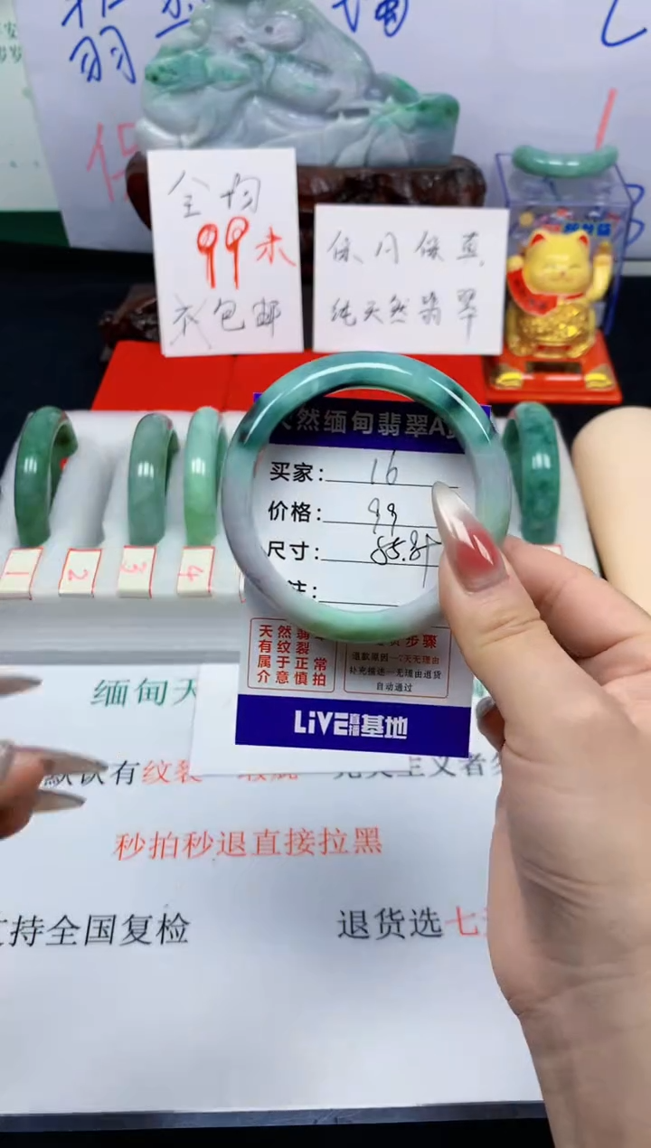 未镶嵌手镯翡翠16