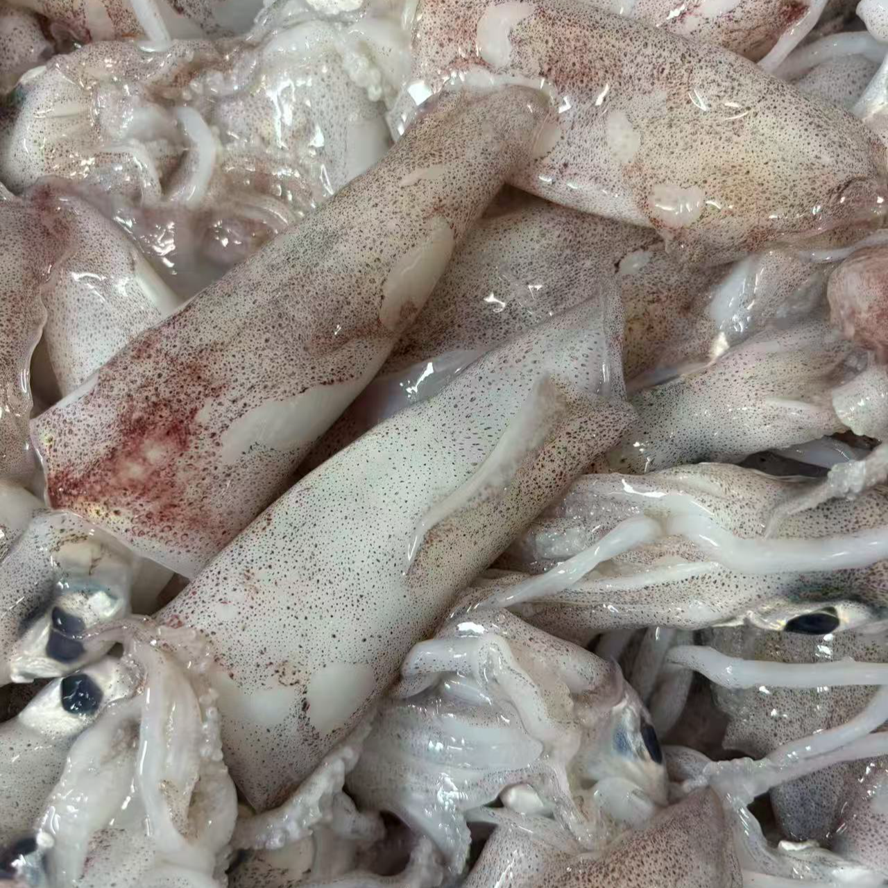 灯光鱿鱼   (400克一盒 )