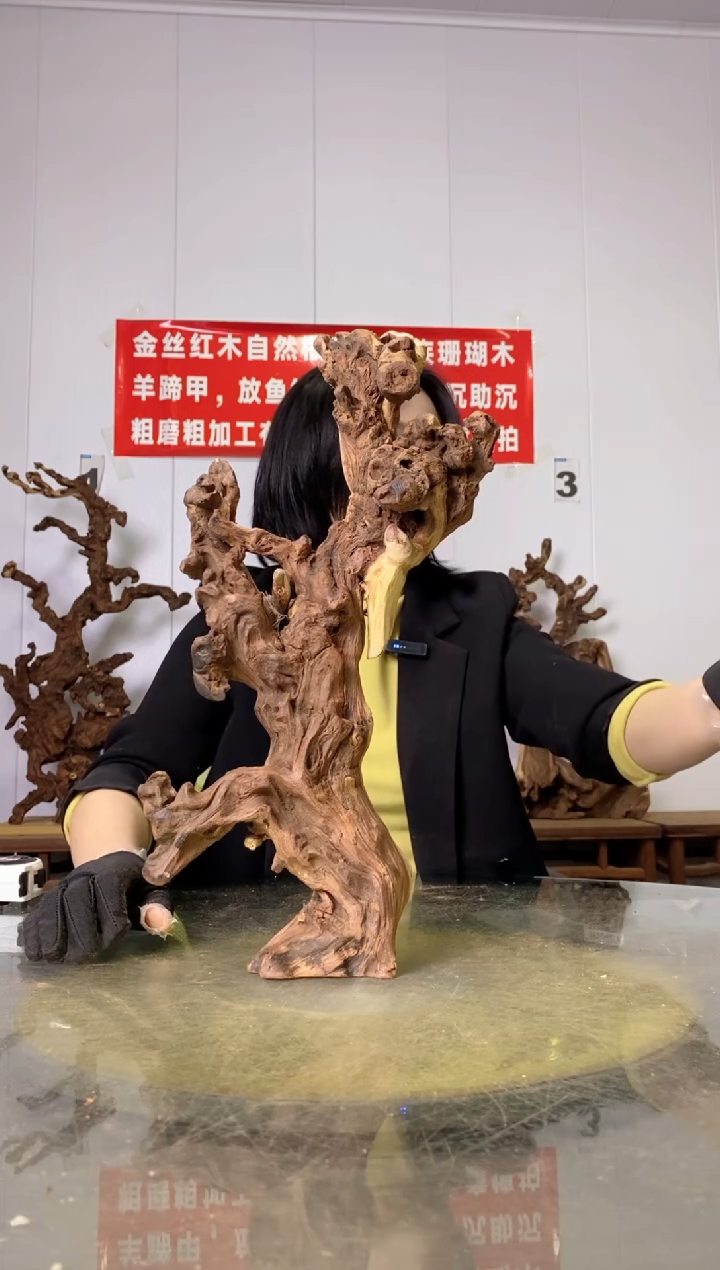 【闪购商品】木35金丝红木 羊蹄甲