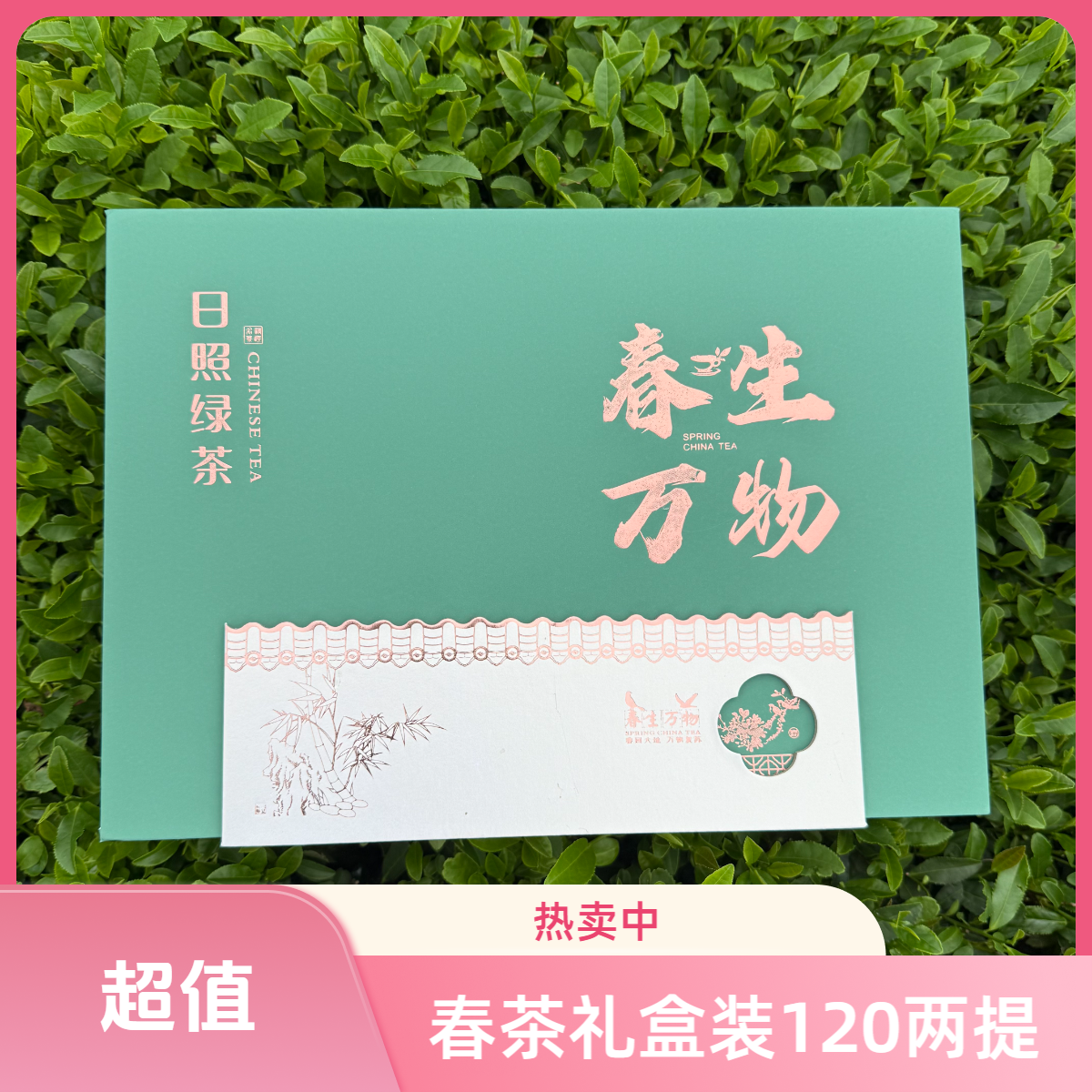 日照绿茶春茶半斤礼盒装两提十提
