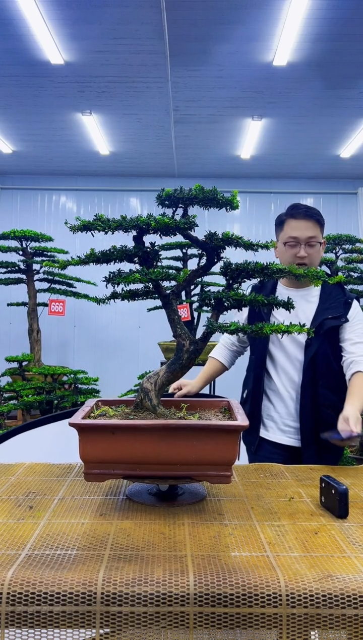 无花朵通****己0000000000000000