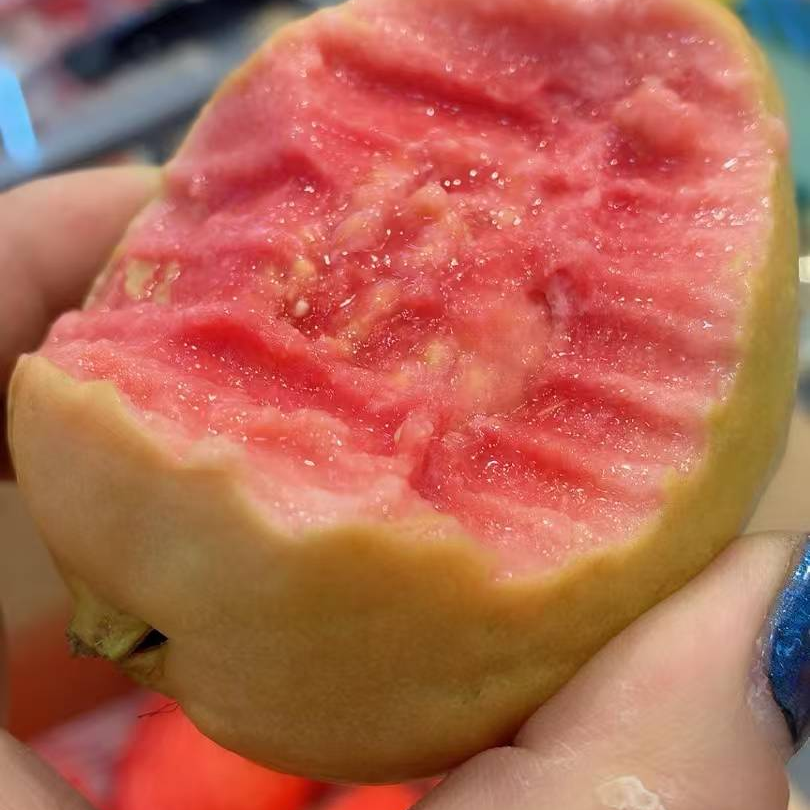红心芭乐整件定斤数不定个数，大小都有随机发