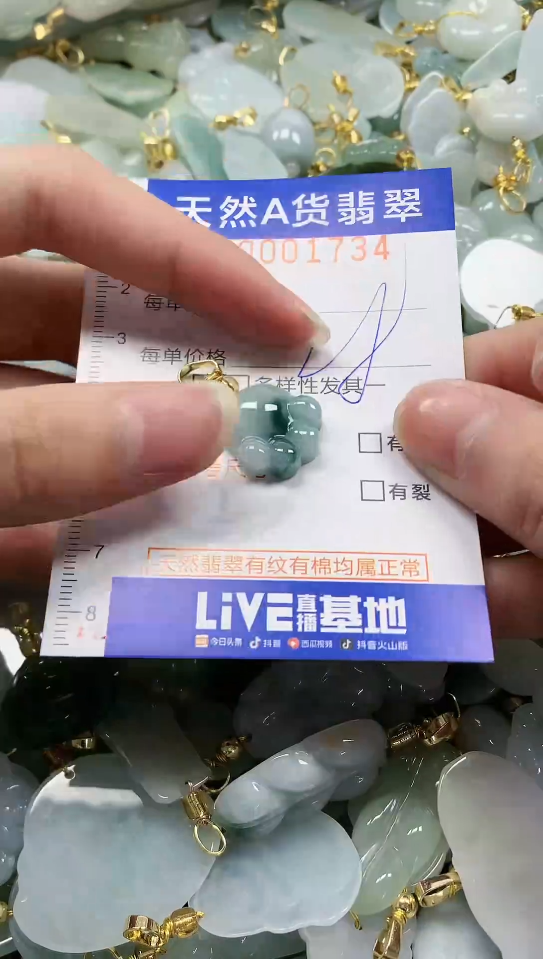 颈饰未镶嵌翡翠纯天然a货翡翠