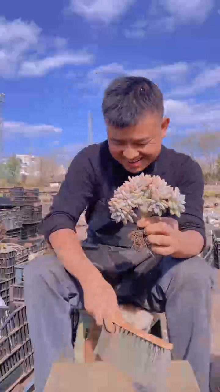 爱****儿216淡雪缀化一物一拍