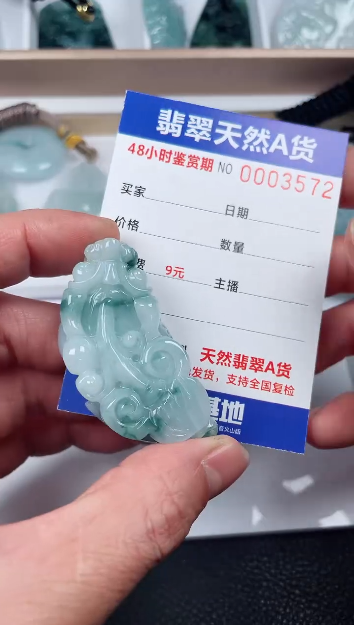 【闪购商品】翡翠颈饰未镶嵌貔貅