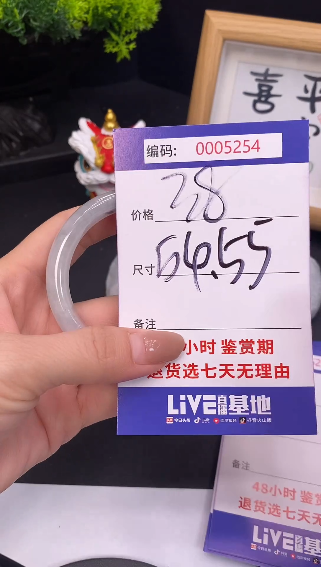 未镶嵌手镯翡翠0005234