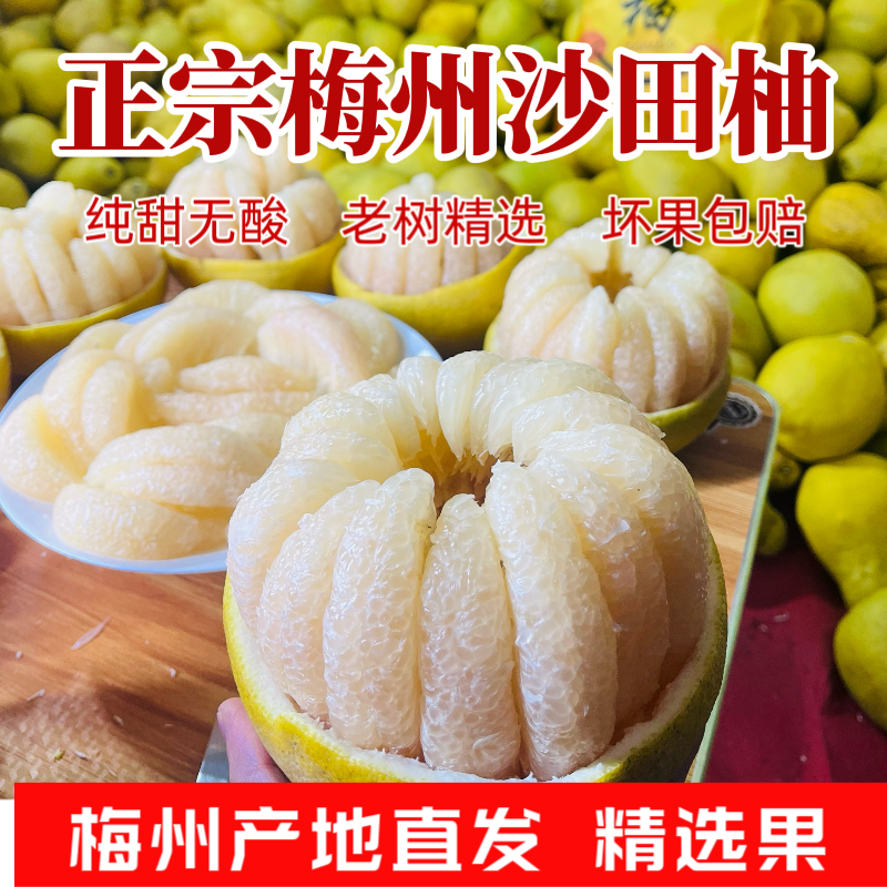 【纯甜无酸】正宗梅州沙田柚新鲜现摘现发头茬果孕妇水果