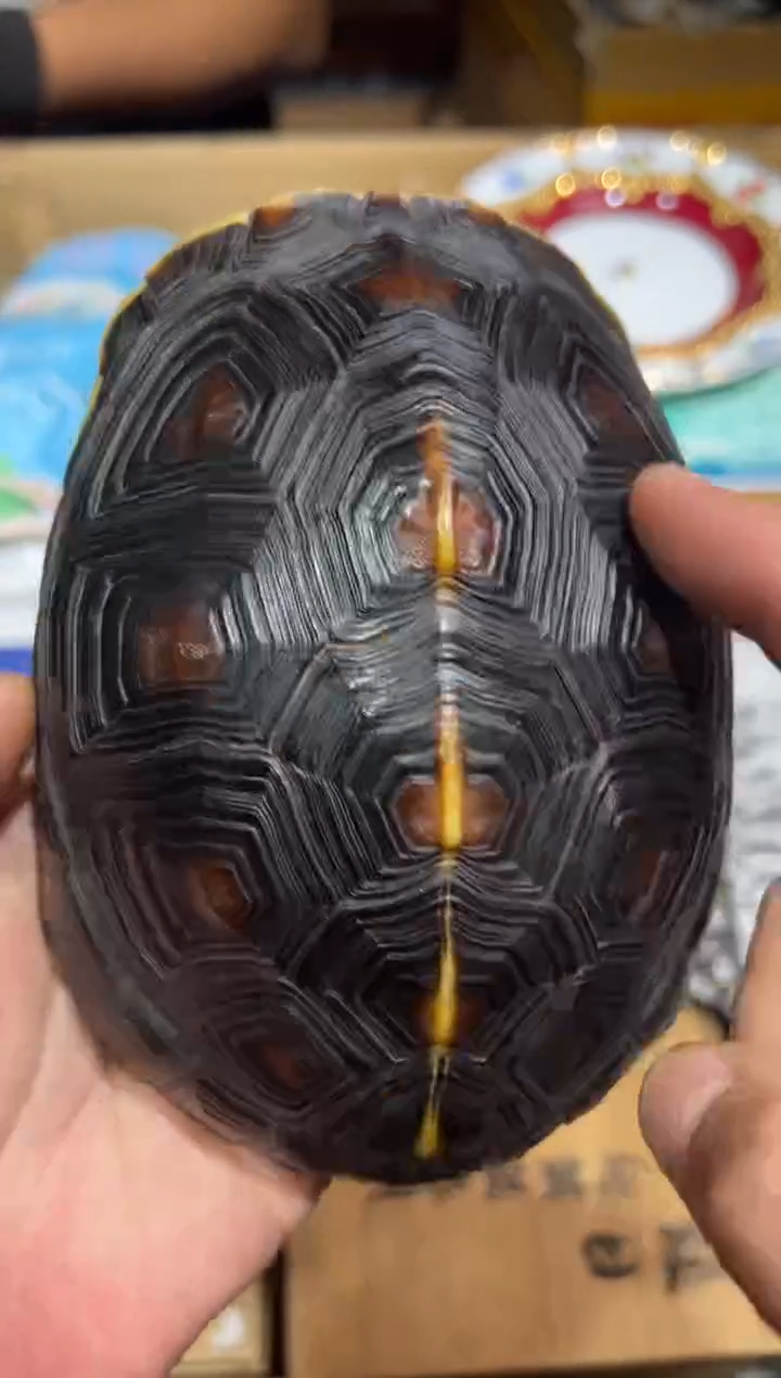 【闪购商品】瓷片工艺器物多样性发一个卡单拉黑