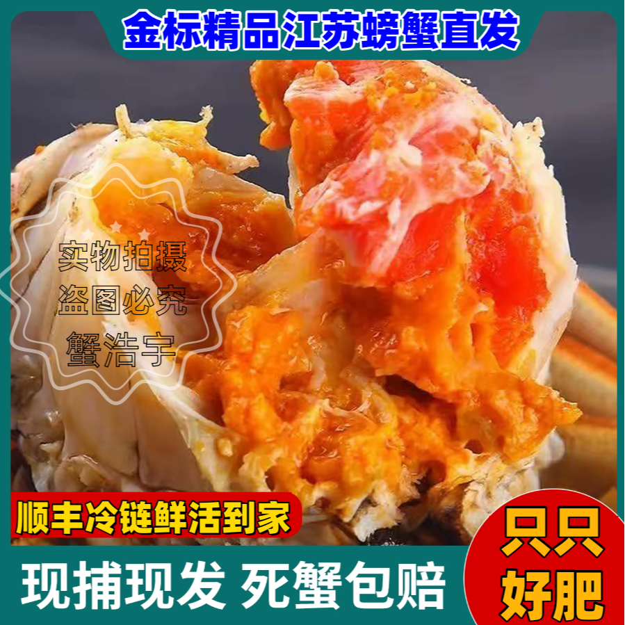 【活蟹现发】精品全母蟹10只装（1.7-2.0两）洪泽湖螃蟹礼盒顺丰包邮4