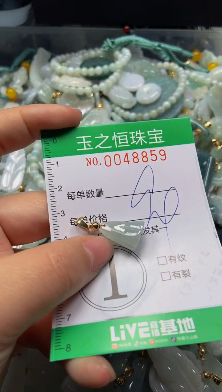 【闪购商品】翡翠颈饰未镶嵌闪购0048859
