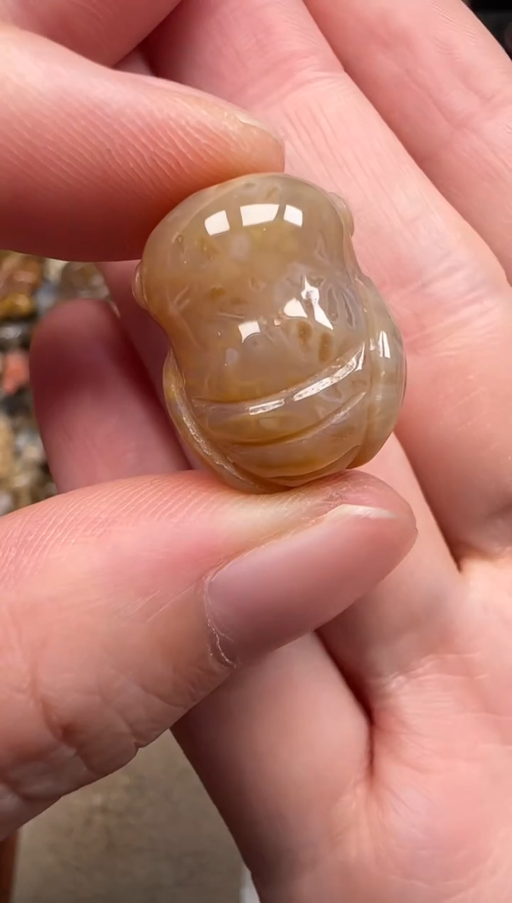 硅化珊瑚（珊瑚玉）未镶嵌颈饰092