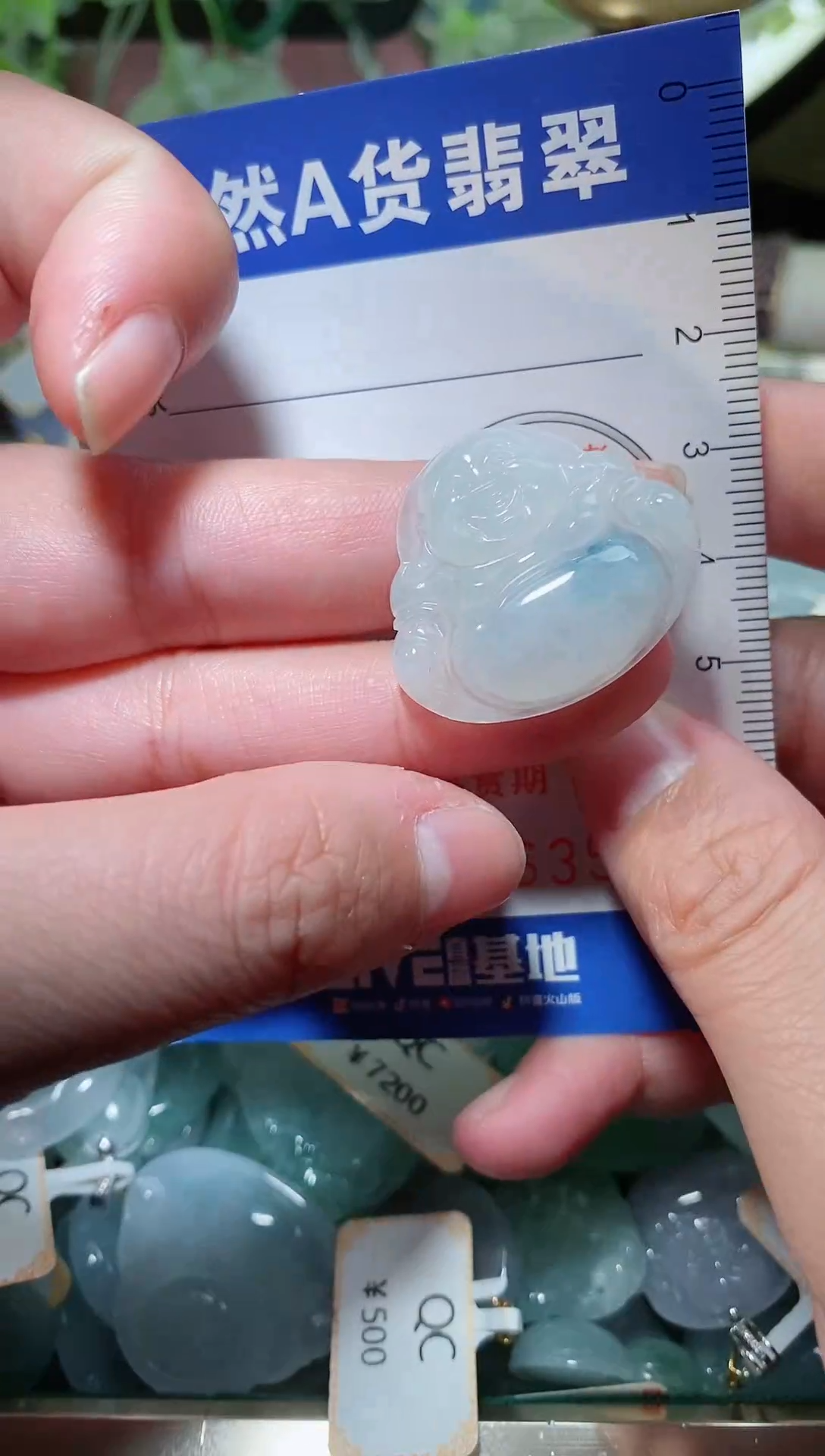 【闪购商品】翡翠颈饰未镶嵌天然A货翡翠一件