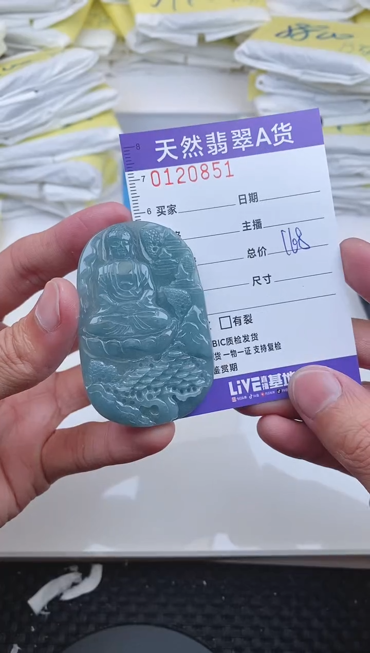 【闪购商品】翡翠颈饰未镶嵌0851.......